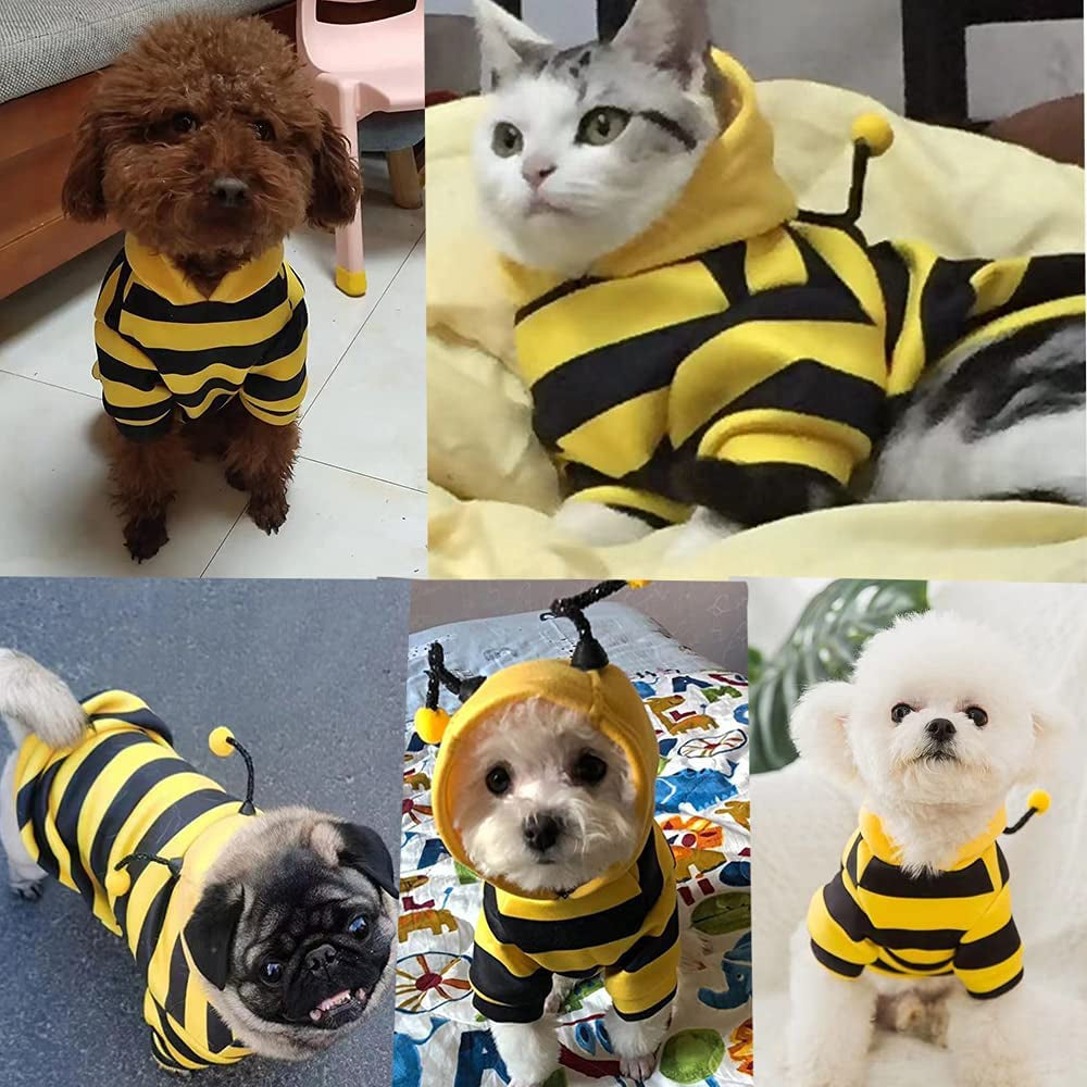 Funny Dog Hoodies Sweatshirt Holiday Cat Sweater Warm Dog Clothes for Small Dog Yellow Cat Outfit Puppy Hooded Coat Pet Bee Costume for Halloween Christmas (Yellow, X-Large)