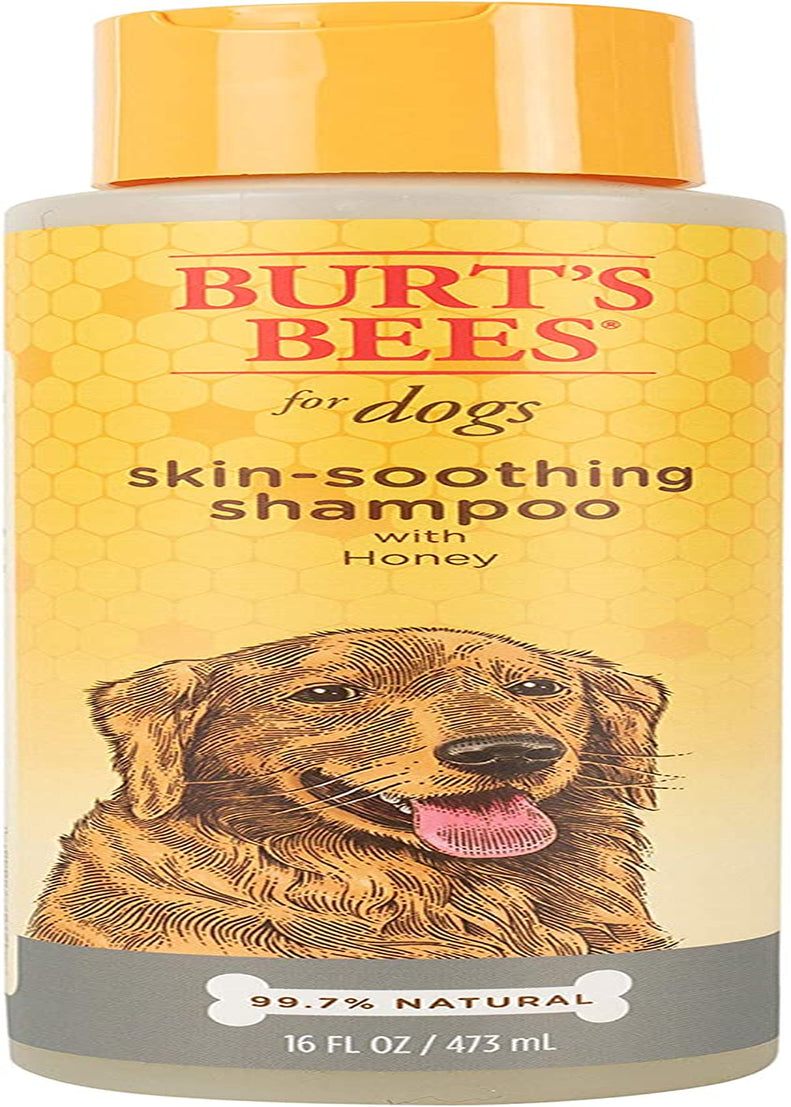 Naturally Derived Skin Soothing Shampoo with Honey - Dog Shampoo for All Dogs and Puppies - Safe for Dogs with Dry and Sensitive Skin - Made in USA, 16 Ounces