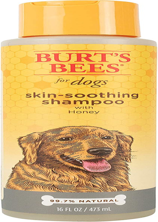 Naturally Derived Skin Soothing Shampoo with Honey - Dog Shampoo for All Dogs and Puppies - Safe for Dogs with Dry and Sensitive Skin - Made in USA, 16 Ounces